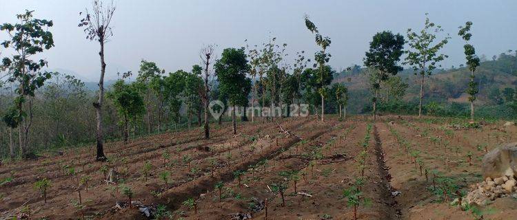 TANAH INDUSTRI SUKATANI PURWAKARTA 1