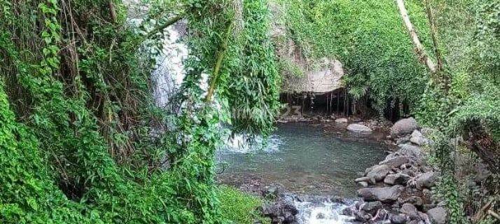 perkebunan banyuatis view sawah dan perbukitan 1