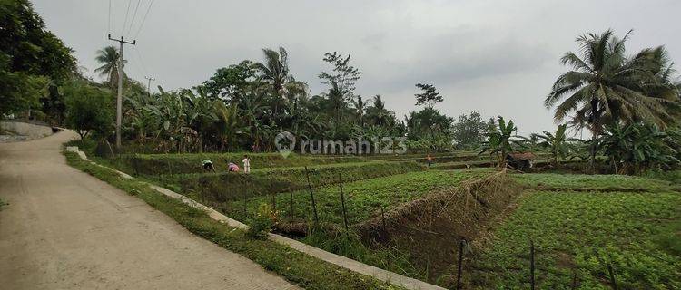 Tanah Sawah/Kebun di Ligarmukti Klapanunggal Bogor 1