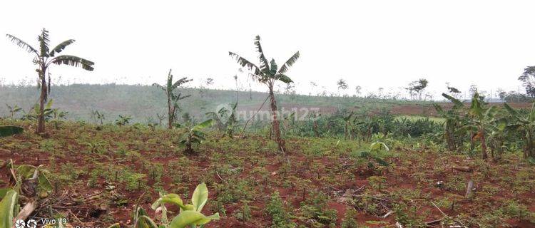 Lahan Industri siap bangun di batang jawa tengah 1