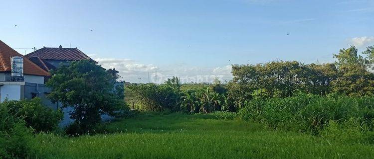 Tanah full view sawah cocok bangun villa 1