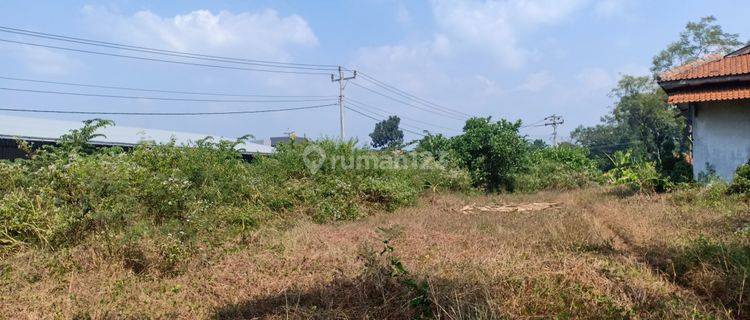 LAhan Industri siap bangun di Batang JAwa Tengah 1