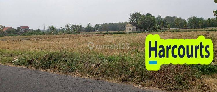 Tanah pekarangan murah di pusat karanganyar kota 1