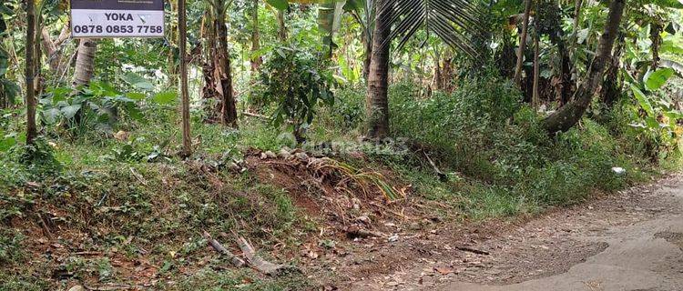 Tanah Kebun Cinangka Ds. Bulakan Turun Harga 1