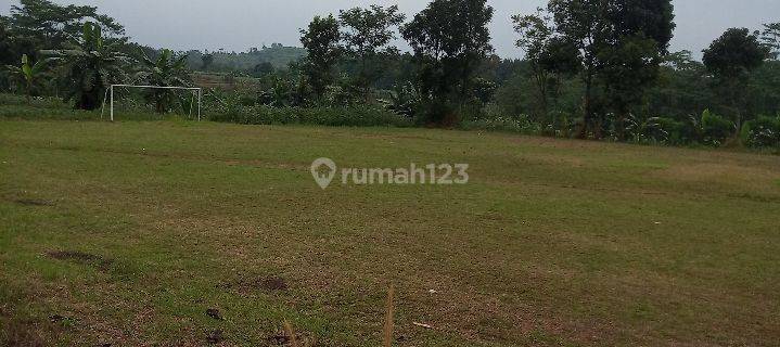 Tanah kembangan dibawah NJOP kebon jeruk 1