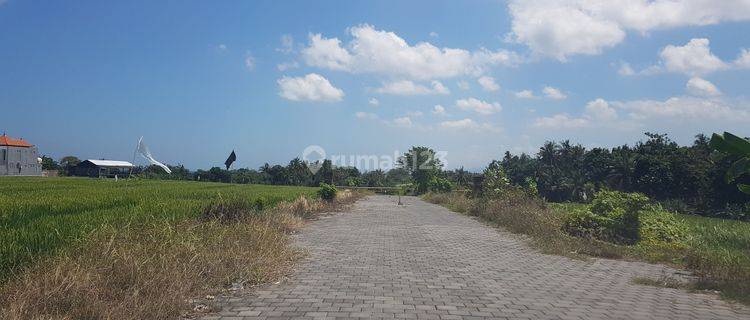 tanah lokasi strategis depan trump resort tanah lot 1