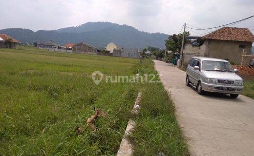 Tanah Super Murah Buat Hanya 170 Ribu Per Meter 1