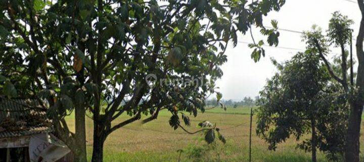 BU! Sawah aktif, mainroad, cocok untuk pabrik/gudang 1