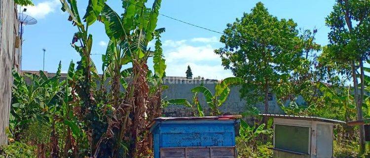 Tanah Dekat UKSW, Sidorejo, Salatiga 1