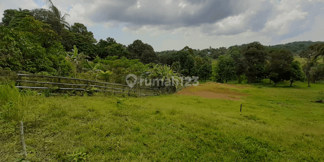 Tanah padat di Semboja Kutai Keetanegara Kaltim bentuk kotak cocok unt dibangun, unt lahan kebun dll dengan harga miring 1