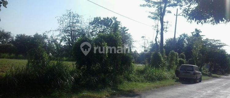 Tanah di Raya Probolinggo - Bromo 1