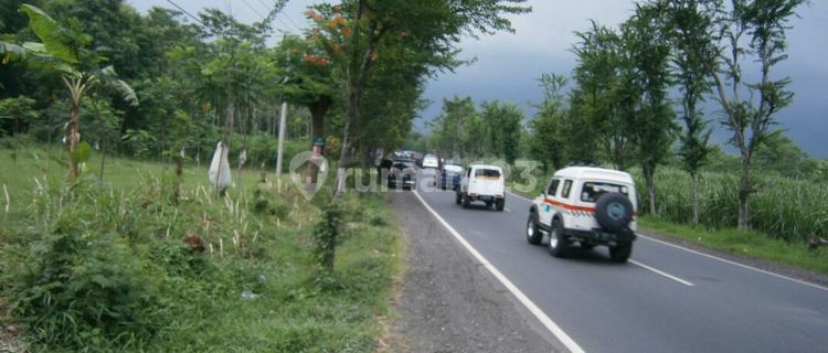 Tanah di Raya Probolinggo - Lumajang 1