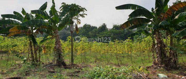 Tanah 4.670m2 Cocok Untuk Cluster di Depok 1