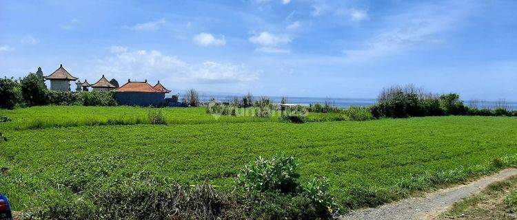 Tanah super keren view panti dan sawah 1