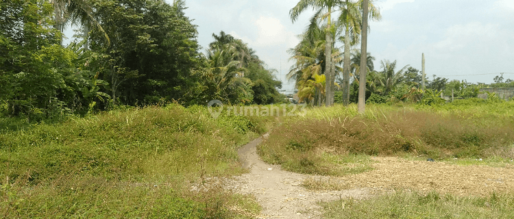 tanah industri di Balaraja Tangerang 1