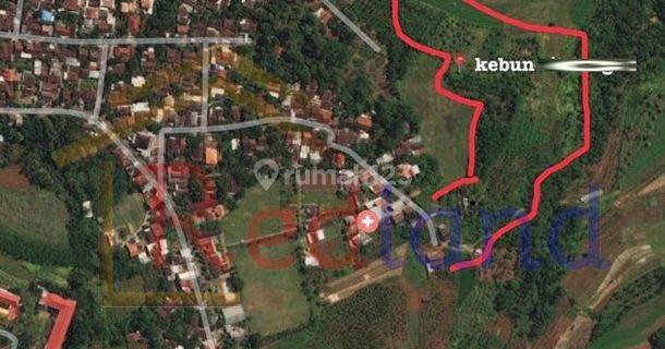 Tanah kebun Produktif di Gunung Pati Semarang ( Nc 1830 ) 1