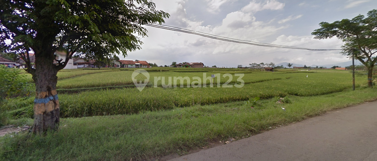 Tanah di Wangisagara Majalaya 1