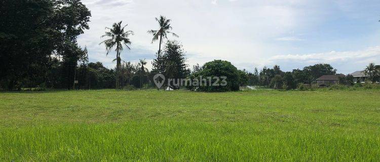 Tanah Kavling View Golf Langsung Kawasan Golf Gading Serpong (NEGOTIABLE PRICE) 1