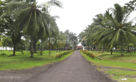 SM Property Tanah Siap Bangun Labuan Tanjung Lesung Pandeglang 1