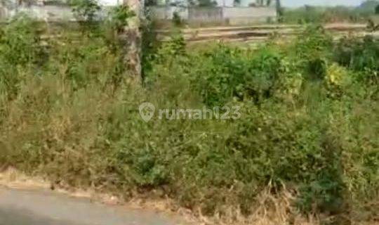 Lahan Plot Industri di Perak Jombang 1