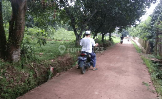 lahan kebun pinggir jalan 1