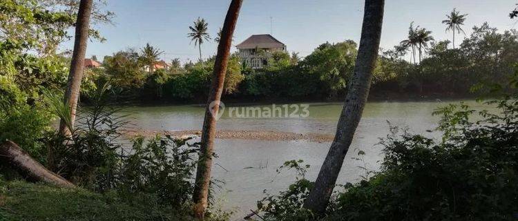 Land on the edge of the Pasut Tabanan estuary, Bali 1