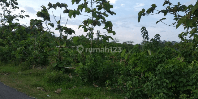 Tanah Jembrana Tegal Badeng 1