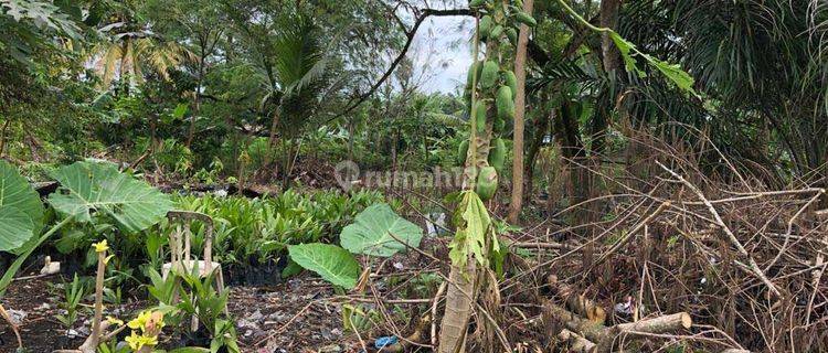 Tanah Rp. 690 ribu/m2 di Lintas Timur KM 15, Pekanbaru 1