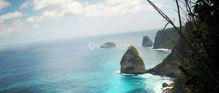 cliff land nusa penida 1