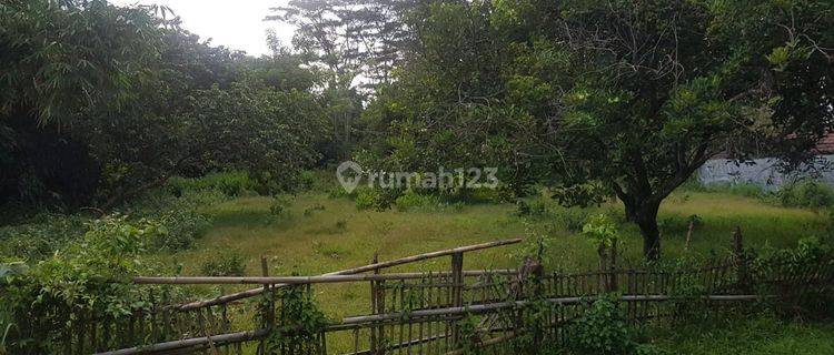 Tanah murah view danau untuk perumahan, villa, resort di dalam kawasan wisata jatiluhur 1