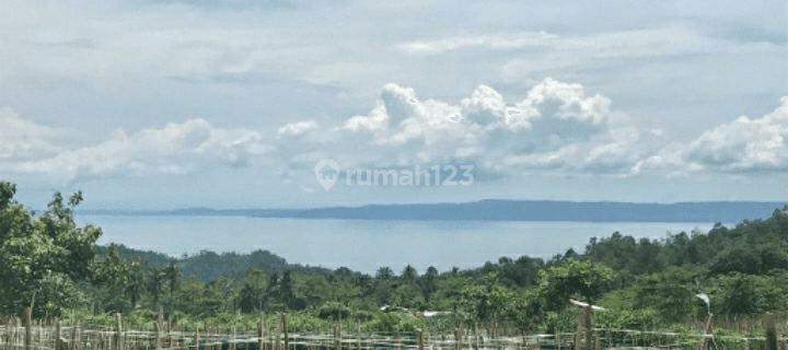 tanah view laut di tanggamus 1