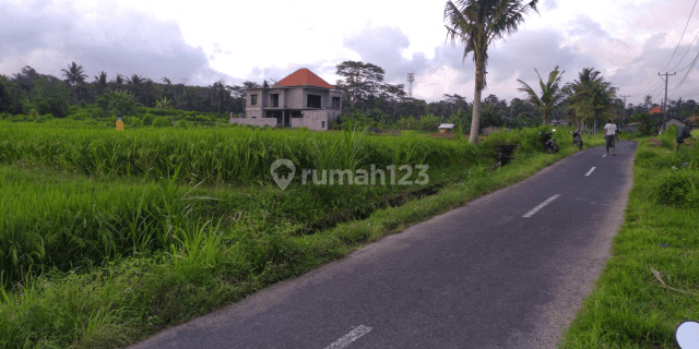 Tanah di jalan utama harga murah 1