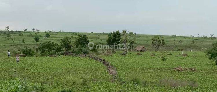 Lahan Murah dan Subur 1