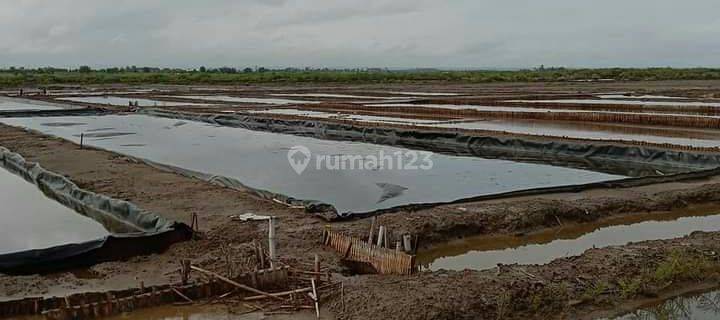 Lahan Murah Cocok Untuk Tambak 1