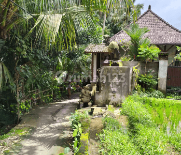 Tanah view jungle sawah cantik di central ubud 1