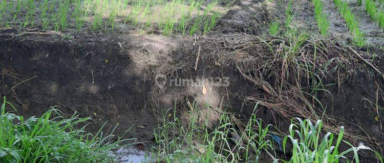 Tanah Plot Industri di Raya Kemlagi Mojokerto 1