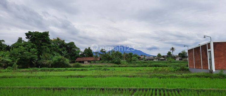 Tanah Murah cck Investasi/Rumah di pinggir Jalan Lebar Sariharjo 1