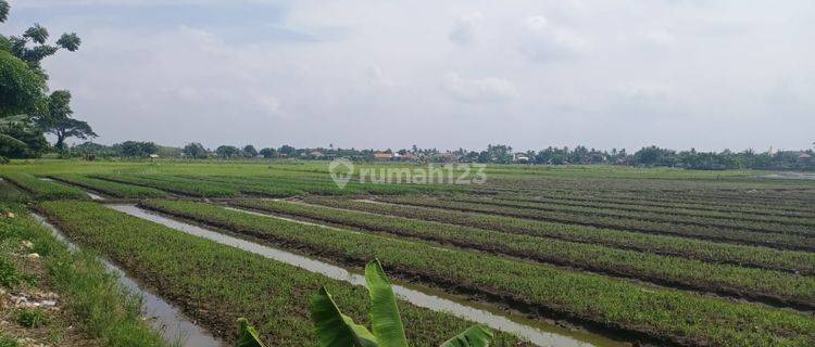 Tanah BU di Babakan Asam Teluk Naga Tangerang 1