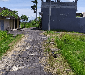 Tanah Di Dekat Jalan Utama Dengan View Cantik Sawah Dan Gunung 1