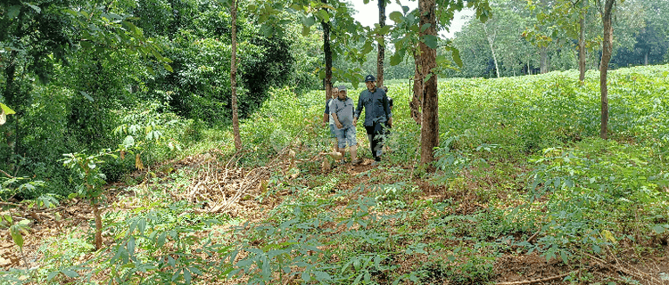 Lahan Industri Di Jepara Jawa Tengah 1