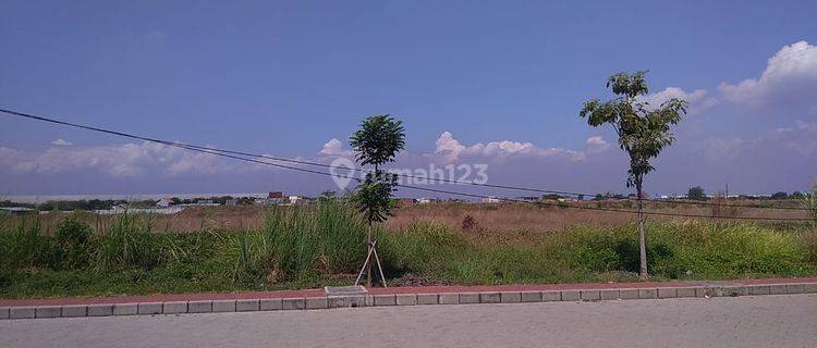 Tanah Di Pier Pasuruan 1