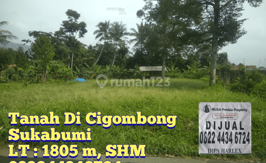 Tanah di Cigombong LT 1805 bagus dan datar 1