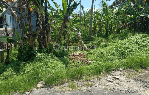 murah sebidang tanah luas 100m2 Sanggulan Kediri 1