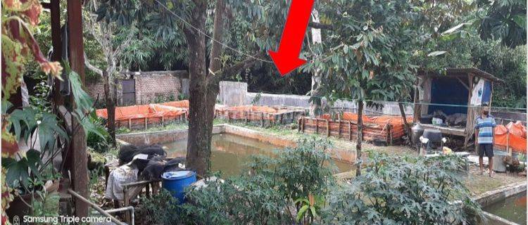 tanah rumah dan kolam ikan di kemiling cocok untuk villa 1