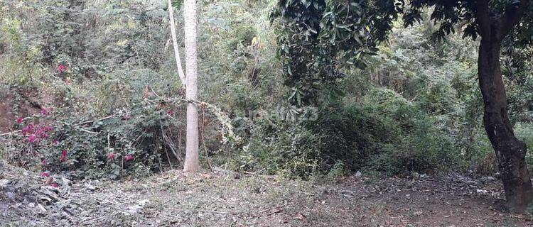 The garden land on the side of the main road is clean and ready to build 1