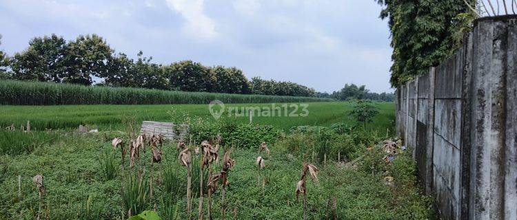 Tanah Plot Industri di Mojosari Mojokerto 1