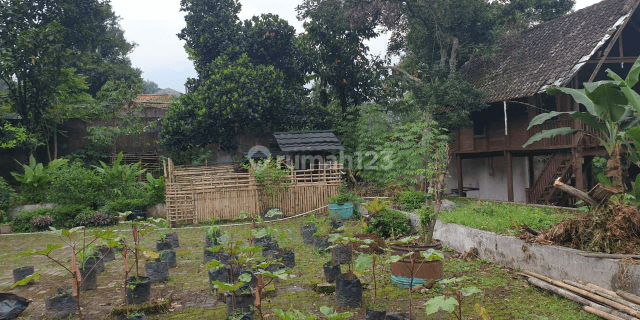 Tanah murah Ciapus Bogor cocok untuk investasi 1
