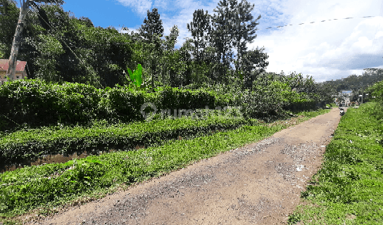 Tanah datar murah di bumijawa tegal view gunung 1