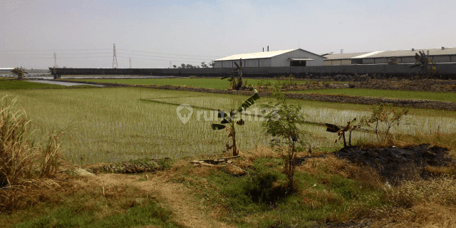 Tanah di kawasan industri Sayung 1