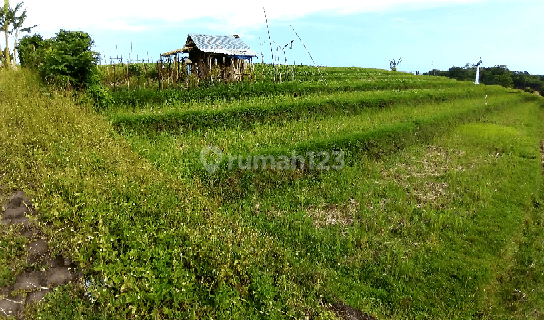 FREEHOLD Land, 180 Are in Tanah Lot 1